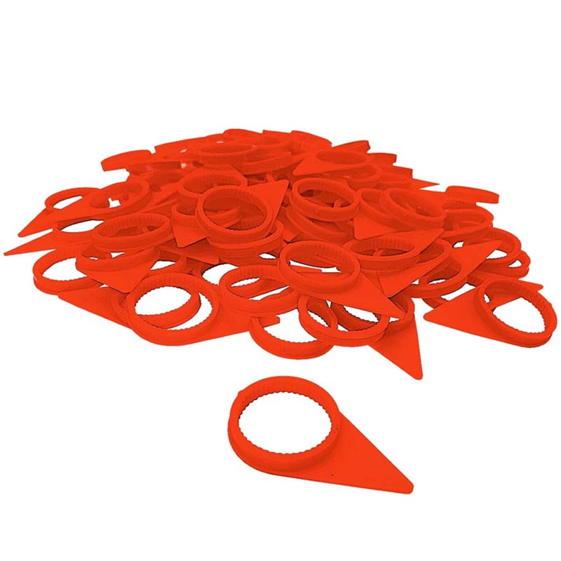 Why is Wheel Nut Indicator called a wheel nut monitor?